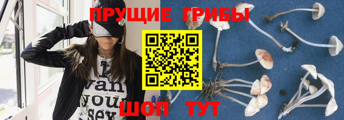 Псилоцибиновые грибы ЛСД  Галлюциногенные грибы прущие грибы  Вход с VPN  Майский 